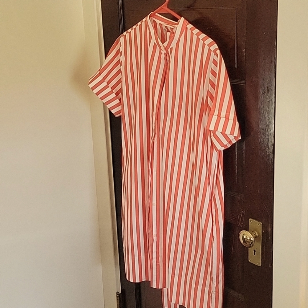 Everlane shirtdress